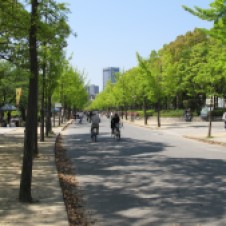 Im Sommer tun Japaner eigentlich auch nichts anderes als wir Deutschen.... Fahrradfahren...